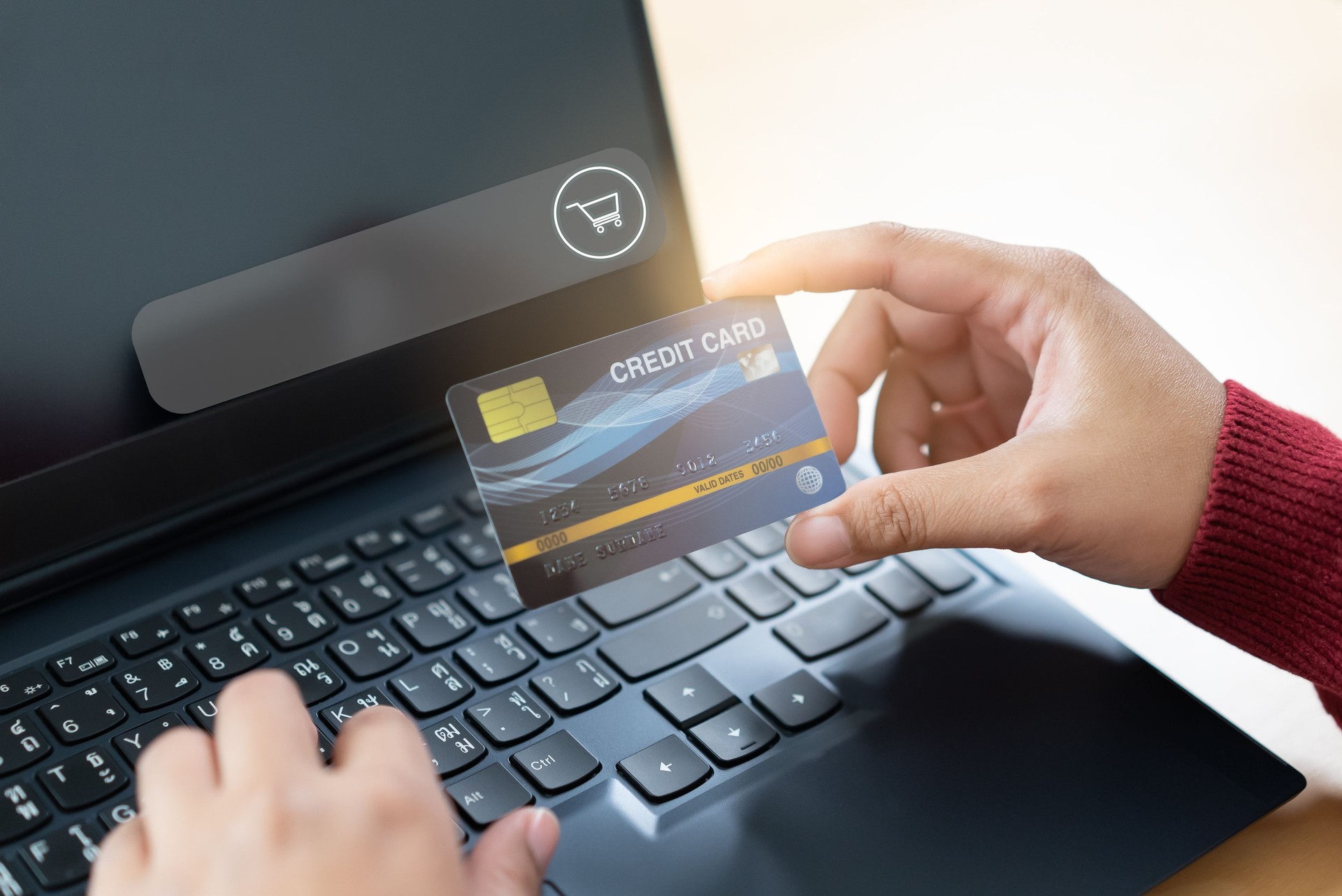 Navigateur d’achat en ligne avec carte de crédit tenant la main